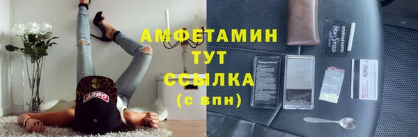 шишки Арсеньев