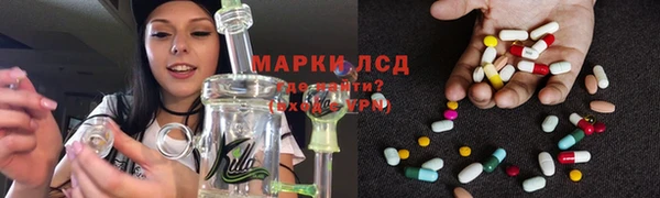 шишки Арсеньев