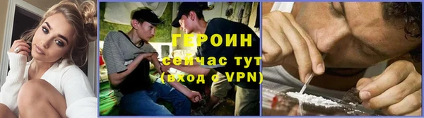 шишки Арсеньев