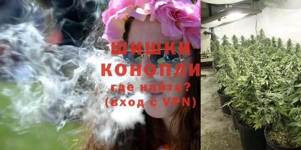 шишки Арсеньев