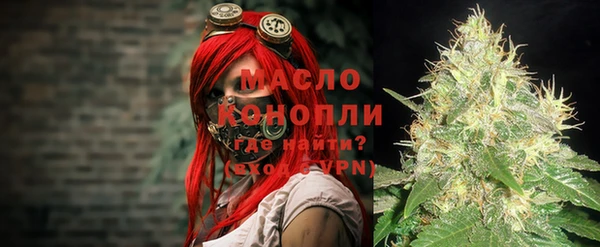 шишки Арсеньев