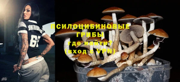 Альфа ПВП Армянск