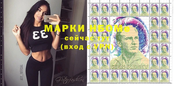 шишки Арсеньев