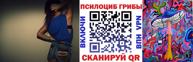 хочу наркоту  кракен зеркало  Псилоцибиновые грибы ЛСД  сайты даркнета как зайти  Почеп 